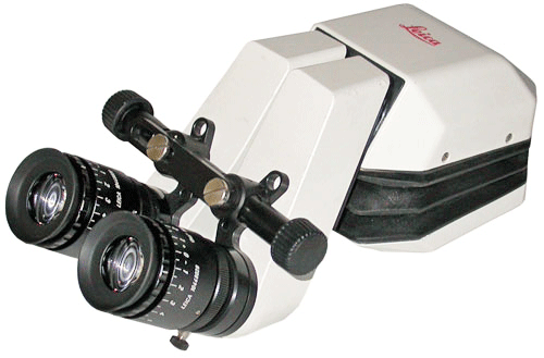 Leica 10446575 Ultra-Low Ergonomic Head | With Eyepieces – Spach