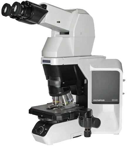 Olympus BX46 Microscope for routine Pathology and Laboratory