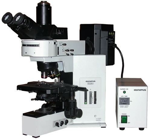 olympus bx50 microscope with fluorescence illumination – Spach