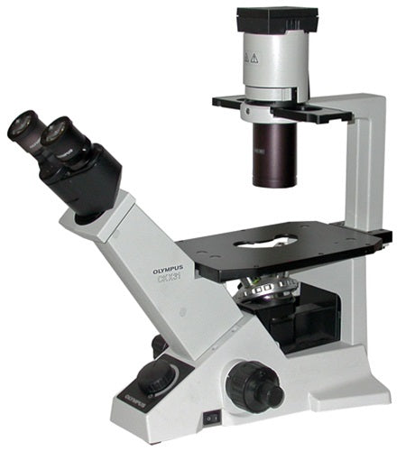 OLYMPUS CKX31 倒立顕微鏡 NAO.30レンズ付き 再値下げしました Olympus CKX31 Inverted Tissue Culture Microscope – Spach Optics, Inc.