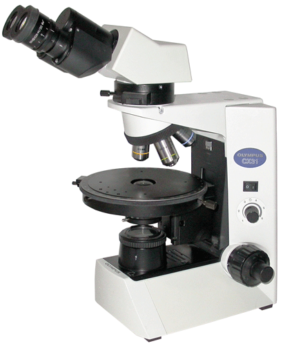 Olympus CX31-P Polarizing Microscope – Spach Optics, Inc.