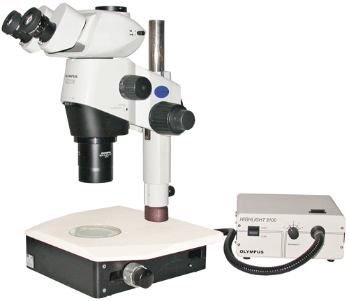 Olympus SZX16 Stereo Microscope on TLB3000 150W Fiber Optic