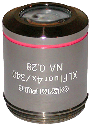 Olympus XLFluor4X/340 4X Objective – Long Working Distance