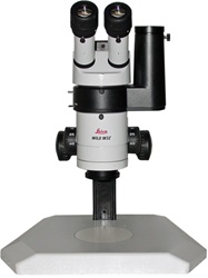 Wild M3Z Stereo Microscope
