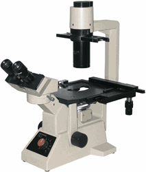 Olympus CK2 Inverted Microscope with Stage