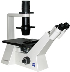 zeiss axiovert 25 inverted phase microscope