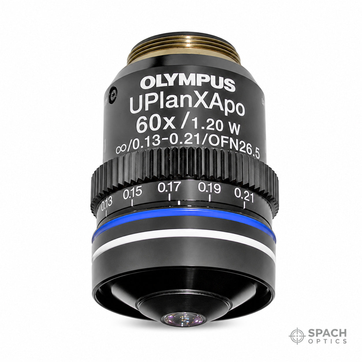 Dipping vs. Coverslip-Corrected Water Immersion Objectives: Which Do You Need?