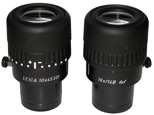 Leica Microscope Eyepieces | Widefield & High Eyepoint Oculars