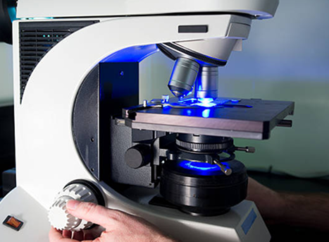 Fluorescence Microscopes