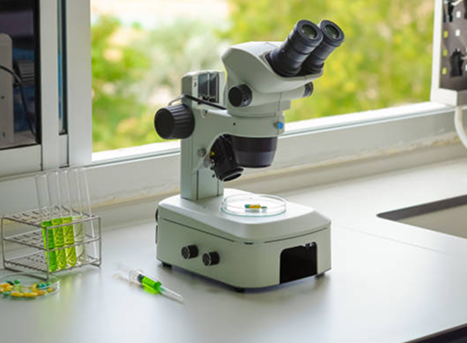 Stereo Microscopes