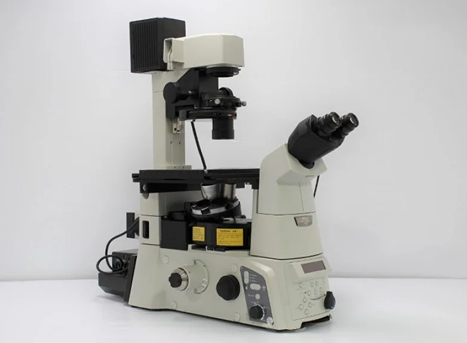 Phase Contrast M