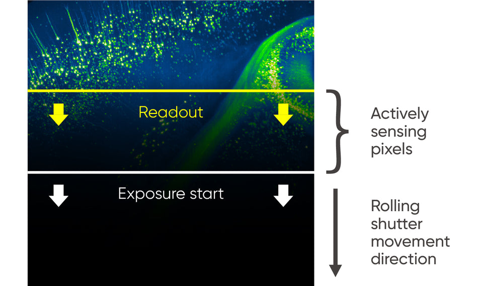 Tucsen Dhyana 400BSI V3 Scientific CMOS Microscope Camera