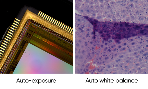 Tucsen TrueChrome 4K PRO 8MP HDMI & USB3 Microscope Camera | Sony IMX485