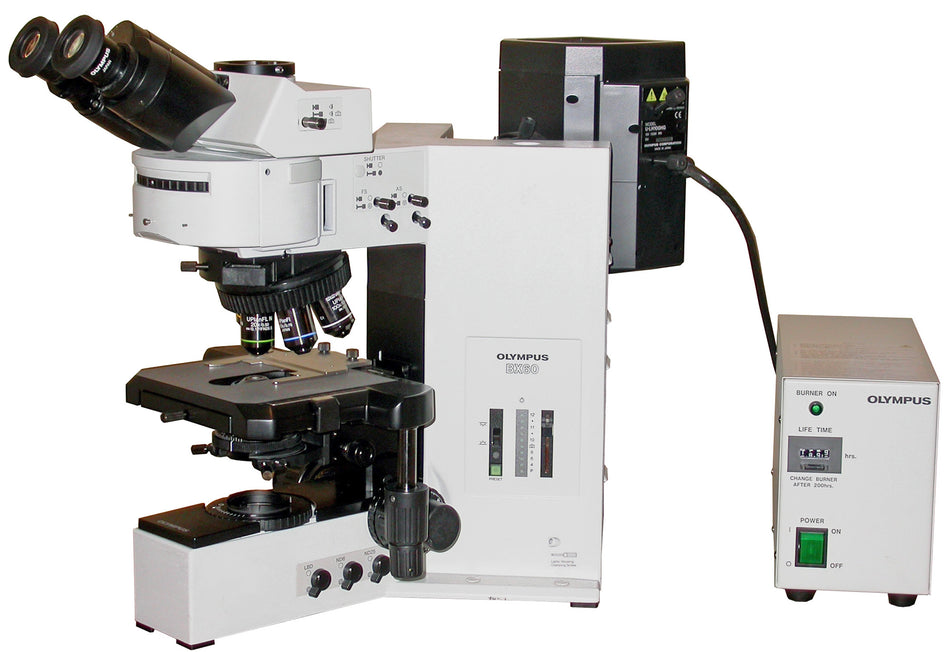 Olympus BX60 Fluorescence Microscope