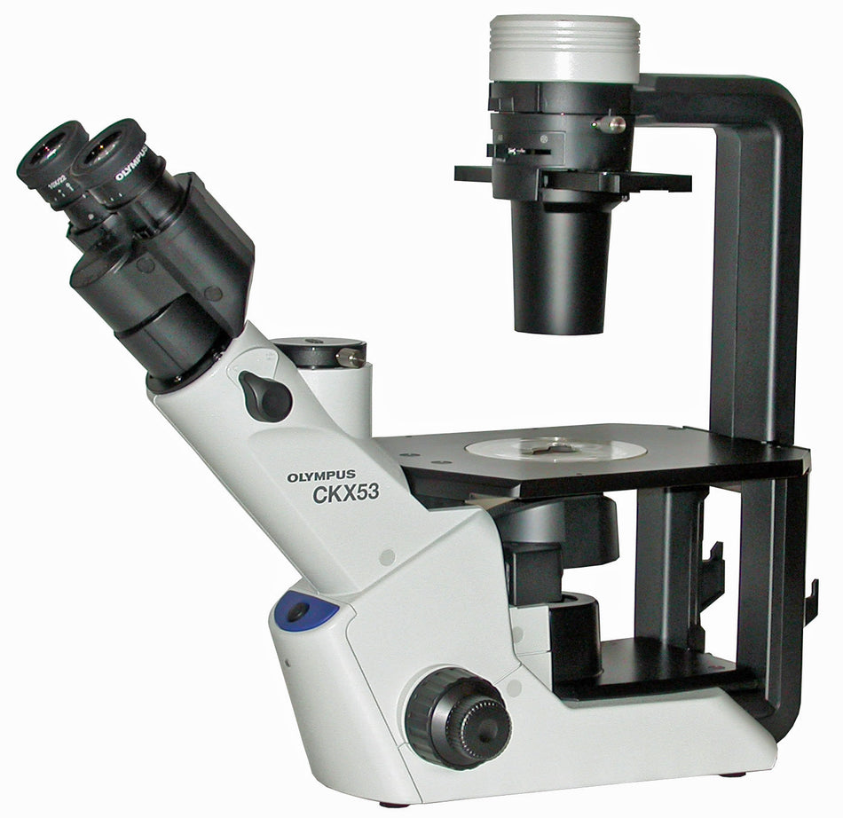 Olympus CKX53 Inverted Tissue Culture Microscope with 40x