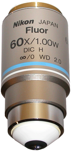 Nikon CFI Fluor 60X Water Immersion Water Dipping Objective