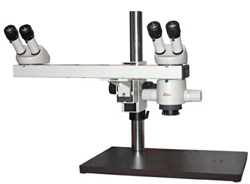 Leica MZ6 Dual Head Stereo