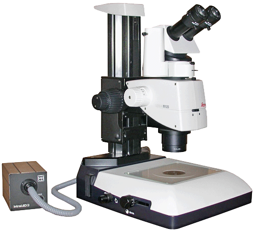 Leica M125 Stereo Microscope on Transmitted Light Base
