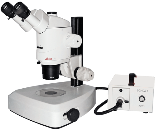 Leica MZ16 Stereo Microscope