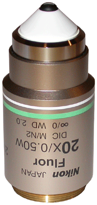 Nikon CFI Fluor 20X Water Dipping Objective