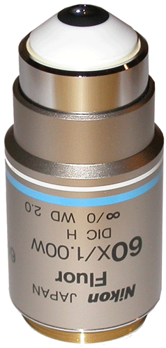 Nikon CFI Fluor 60X Water Immersion Objective