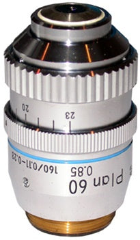NIKON PLAN 60X