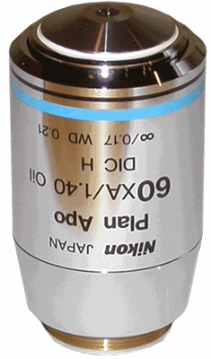 NIKON PLAN APO 60X