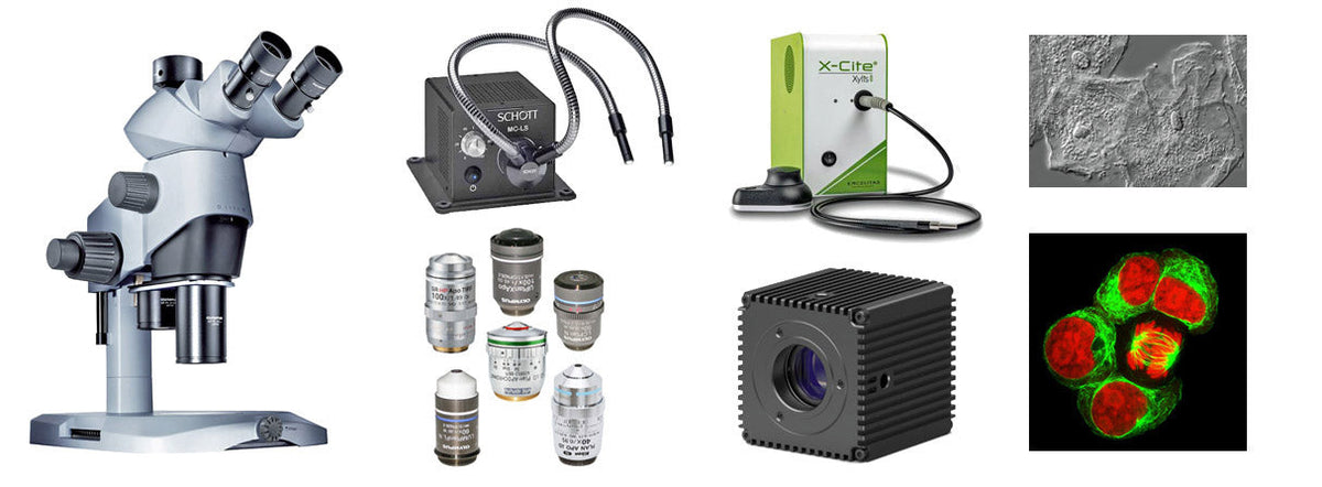 spach-optics-inc