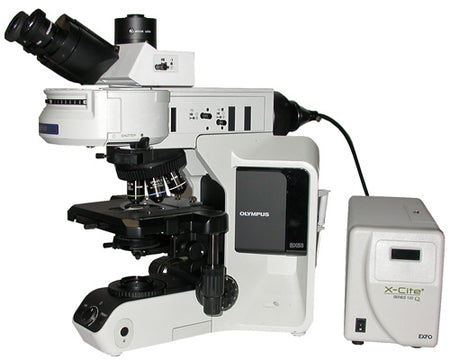 Olympus BX53 Compound Fluorescence Microscope