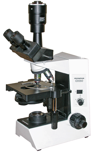 Olympus CH30 Phase Contrast Microscope