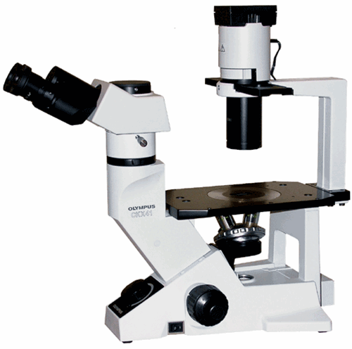 Olympus CKX41 Inverted Microscope
