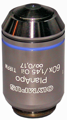 Olympus PLAN APO 60x TIRF Objective