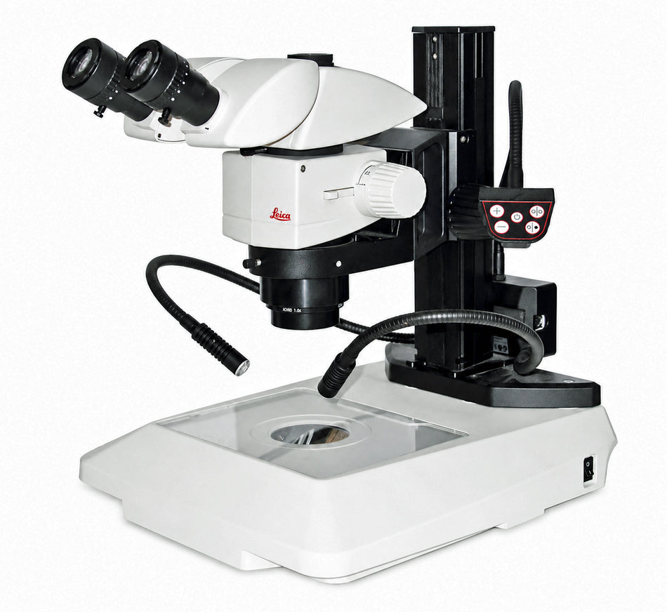 Leica M80 Stereo Microscope On TL3000 Ergo Transmitted LED Stand
