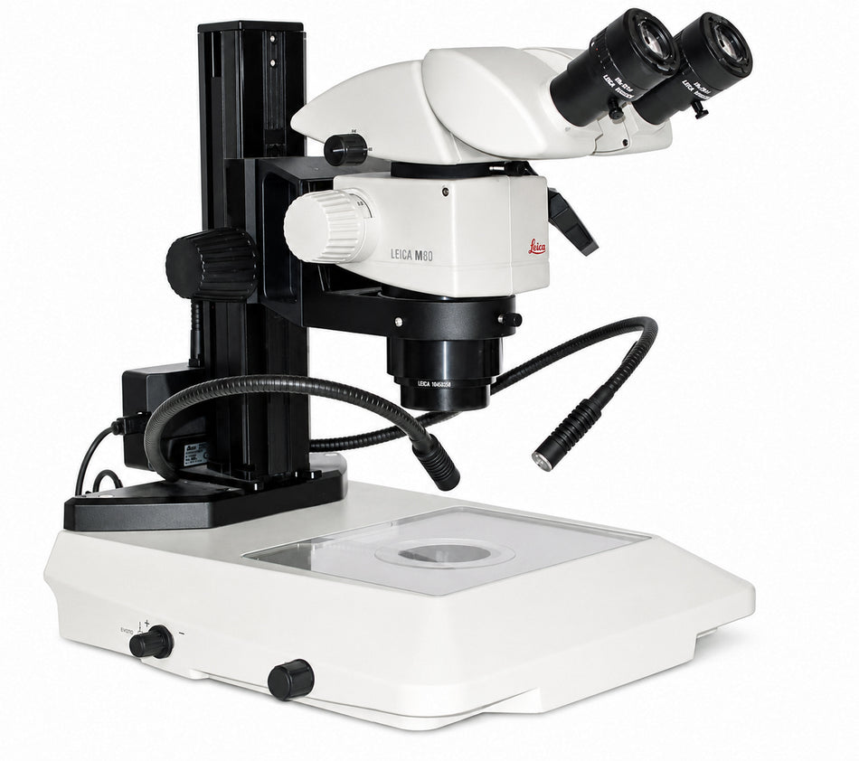 Leica M80 Stereo Microscope On TL3000 Ergo Transmitted LED Stand