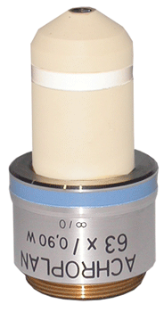 Zeiss 63x Water Immersion Objective