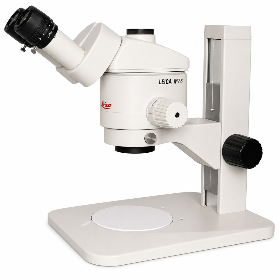 Leica MZ6 Stereo Microscope with Trinocular Head