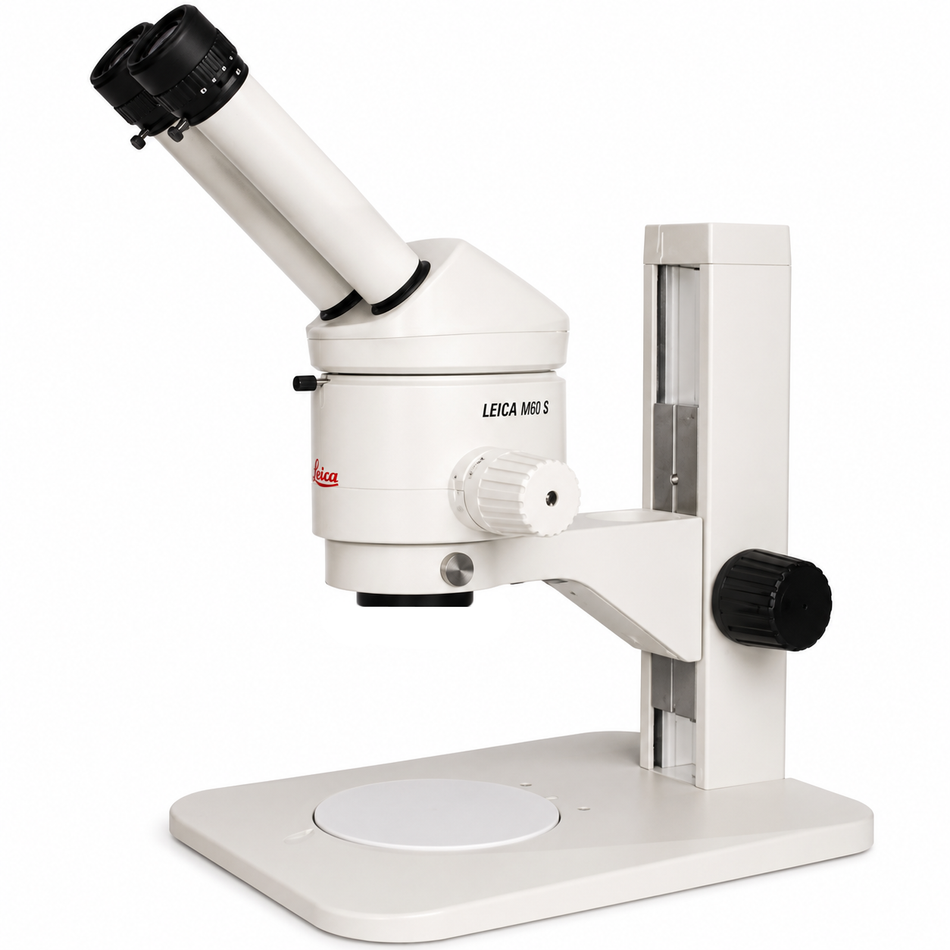 Leica MZ6 Stereo Microscope with Extended Ergo Tube