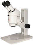 Leica MZ6 Stereo Microscope