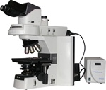 nikon 80i fluorescence microscope