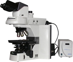 nikon 80i fluorescence microscope
