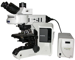 olympus bx53 compound fluorescence microscope