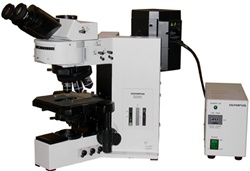 olympus bx60 fluorescence microscope
