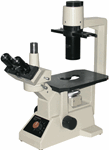 olympus ck2 microscope with camera port