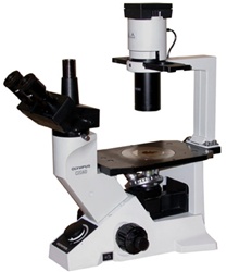 olympus ck40 inverted phase microscope