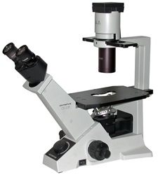 Olympus CKX31 Inverted Microscope