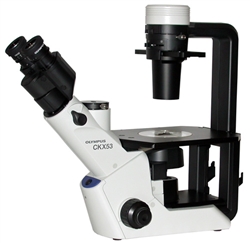 olympus ckx53 inverted phase contrast microscope