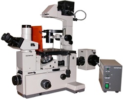 olympus imt2 fluorescence microscope