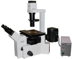 olympus ix50 inverted fluorescence microscope