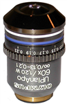 Olympus UPLANAPO 60x Water Immersion Objective