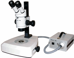Wild M3Z Stereo Microscope on Fiber Optic Mirror Base